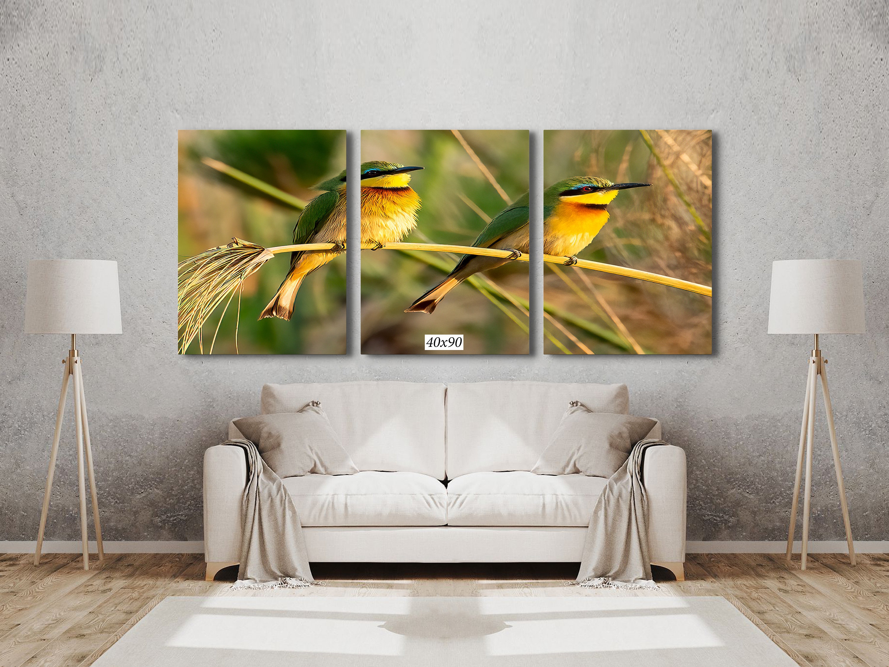 South Africa 2 Little Bee-Eaters Canvas Photo Art Print For Wall ,  8 x 10 up to - Picture 13 of 20