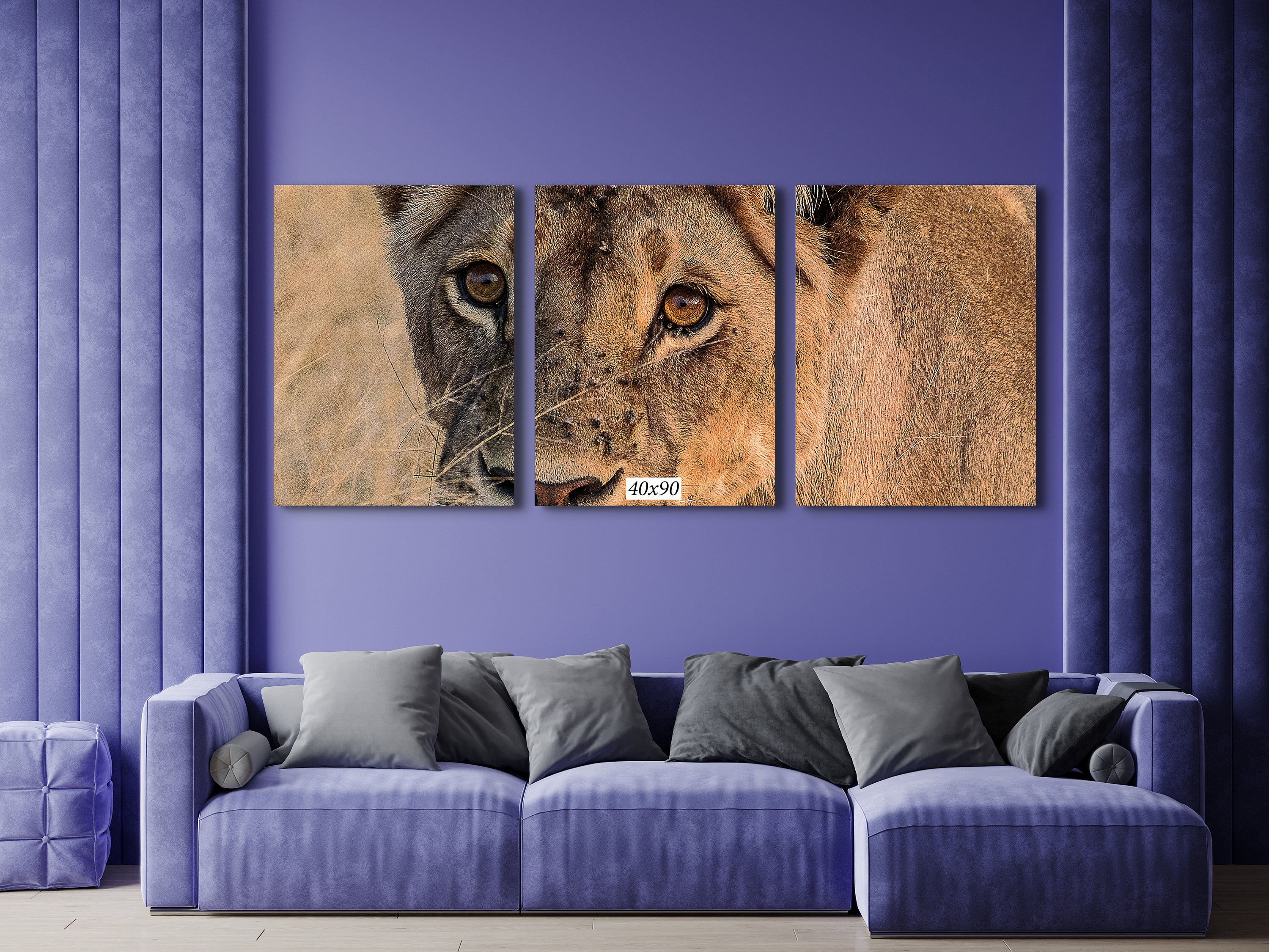 Horizontal Wall Hanging Photo Print of So Africa Lioness Close-up for Home or