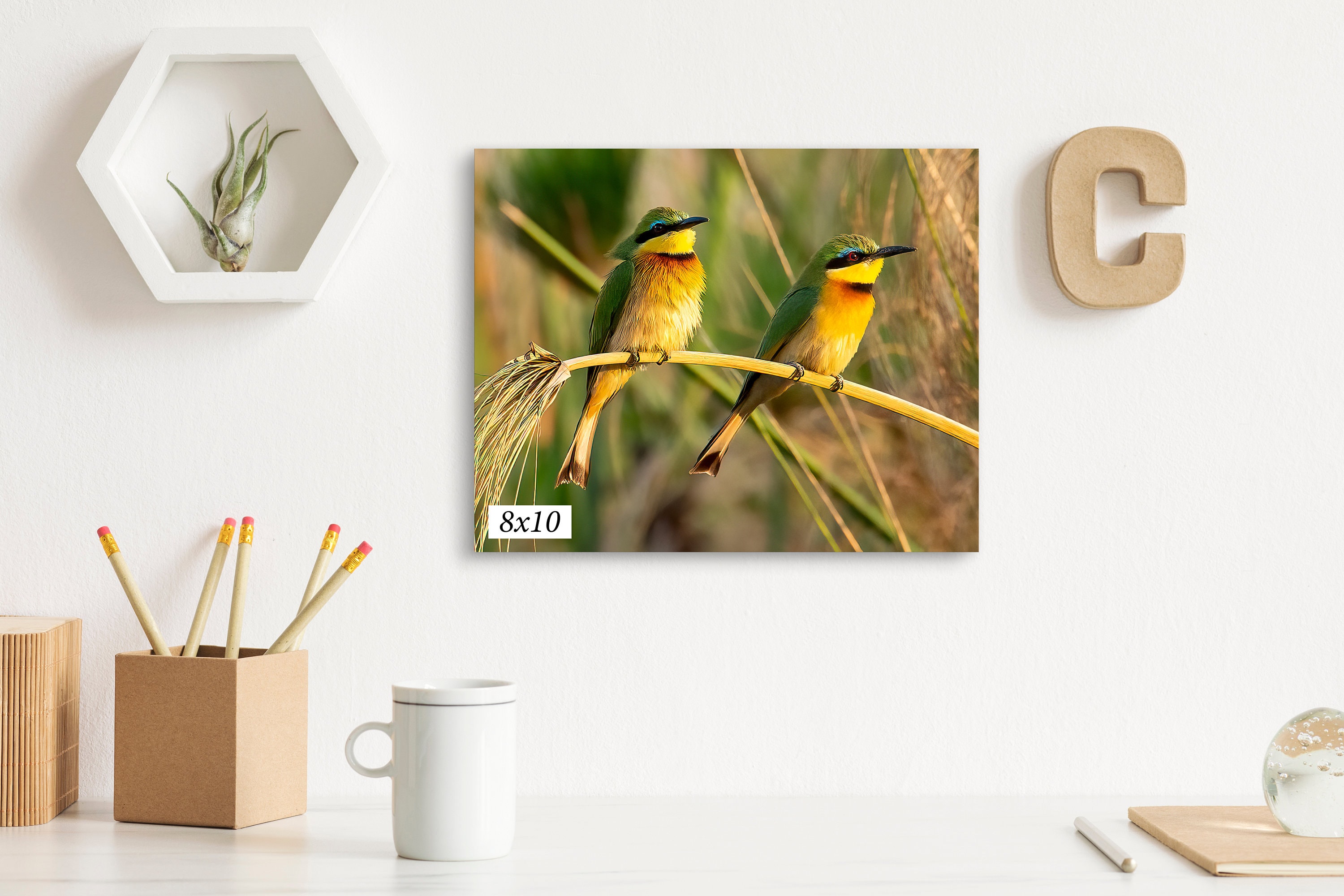 South Africa 2 Little Bee-Eaters Canvas Photo Art Print For Wall ,  8 x 10 up to - Picture 2 of 20