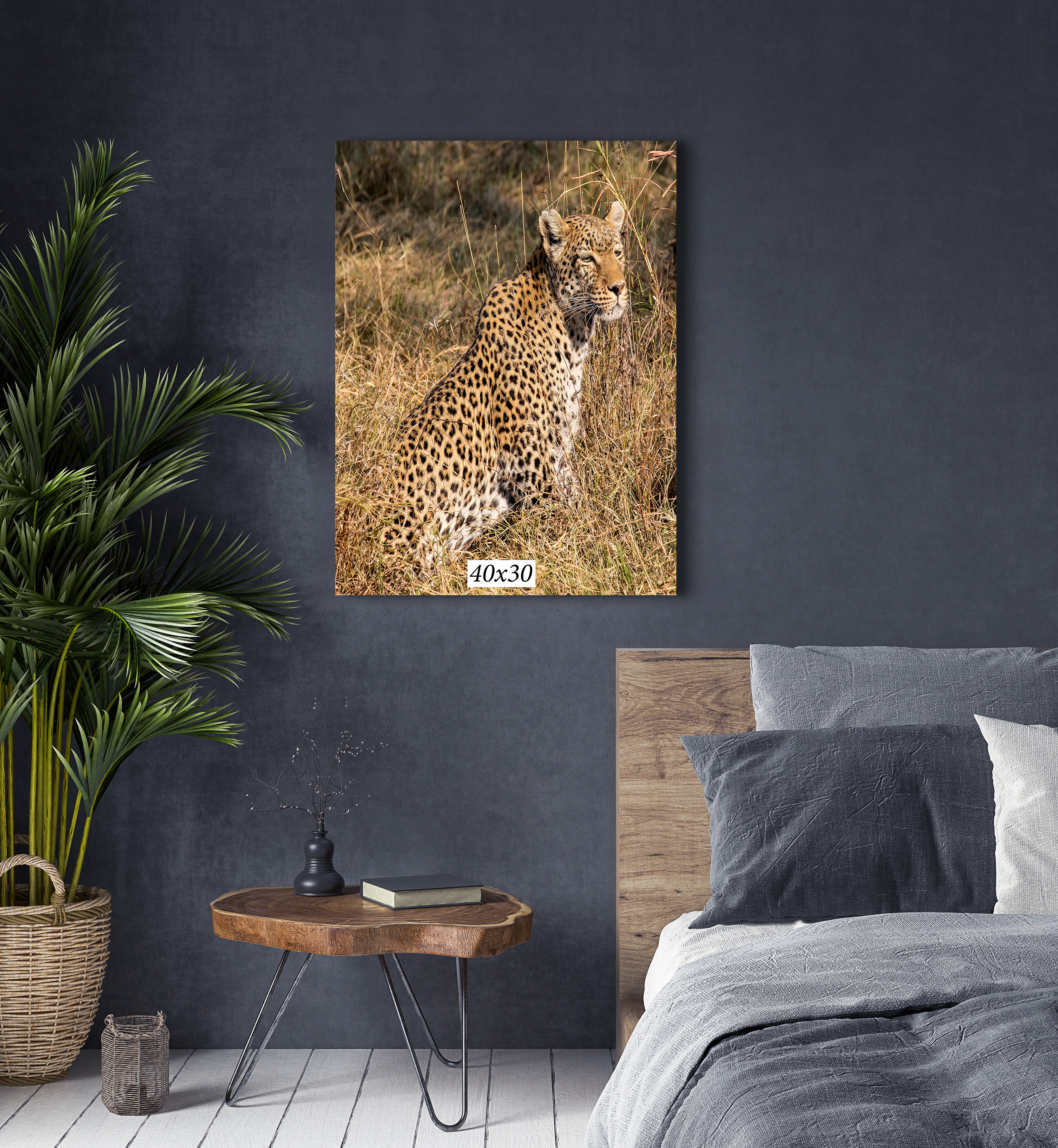 South Africa Leopard Sitting Alert Printed on Canvas or Paper,Metal or Acrylic