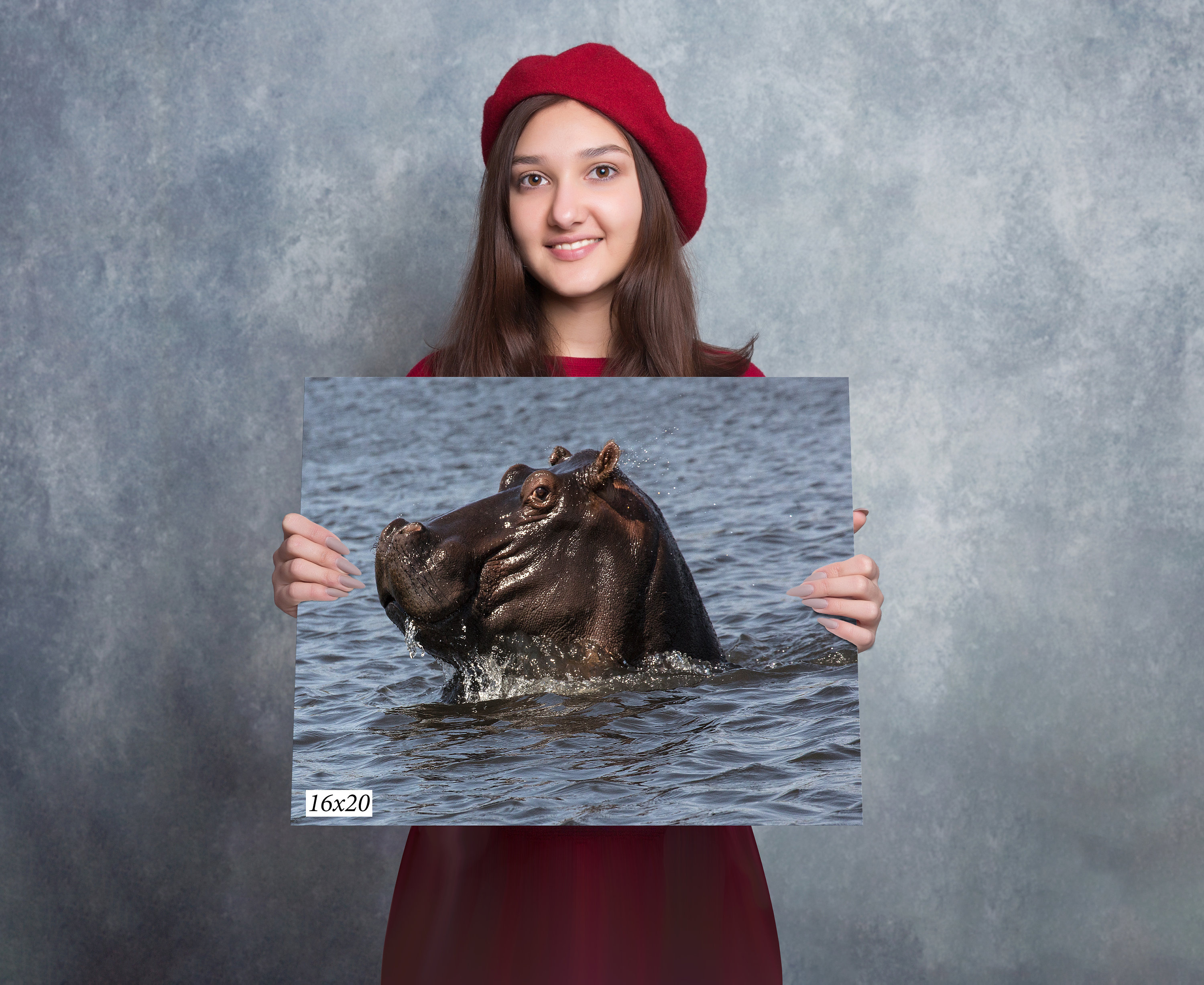 Wall Hanging Canvas Photo Print of a South Africa Hippopotamus Surfacing for a