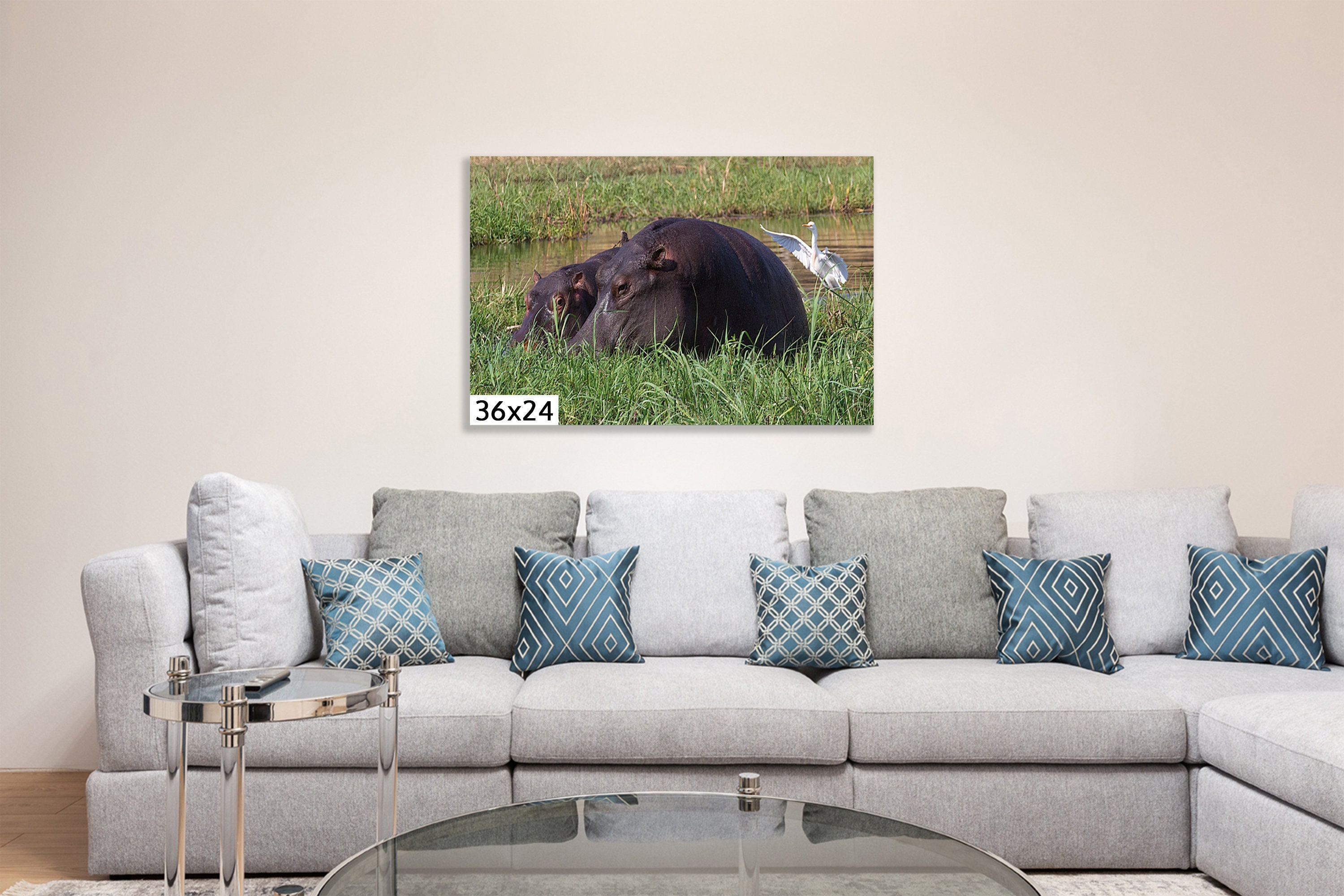 Canvas Photo Print Wall Hanging Two South Africa Hippopotamuses Being Blessed by