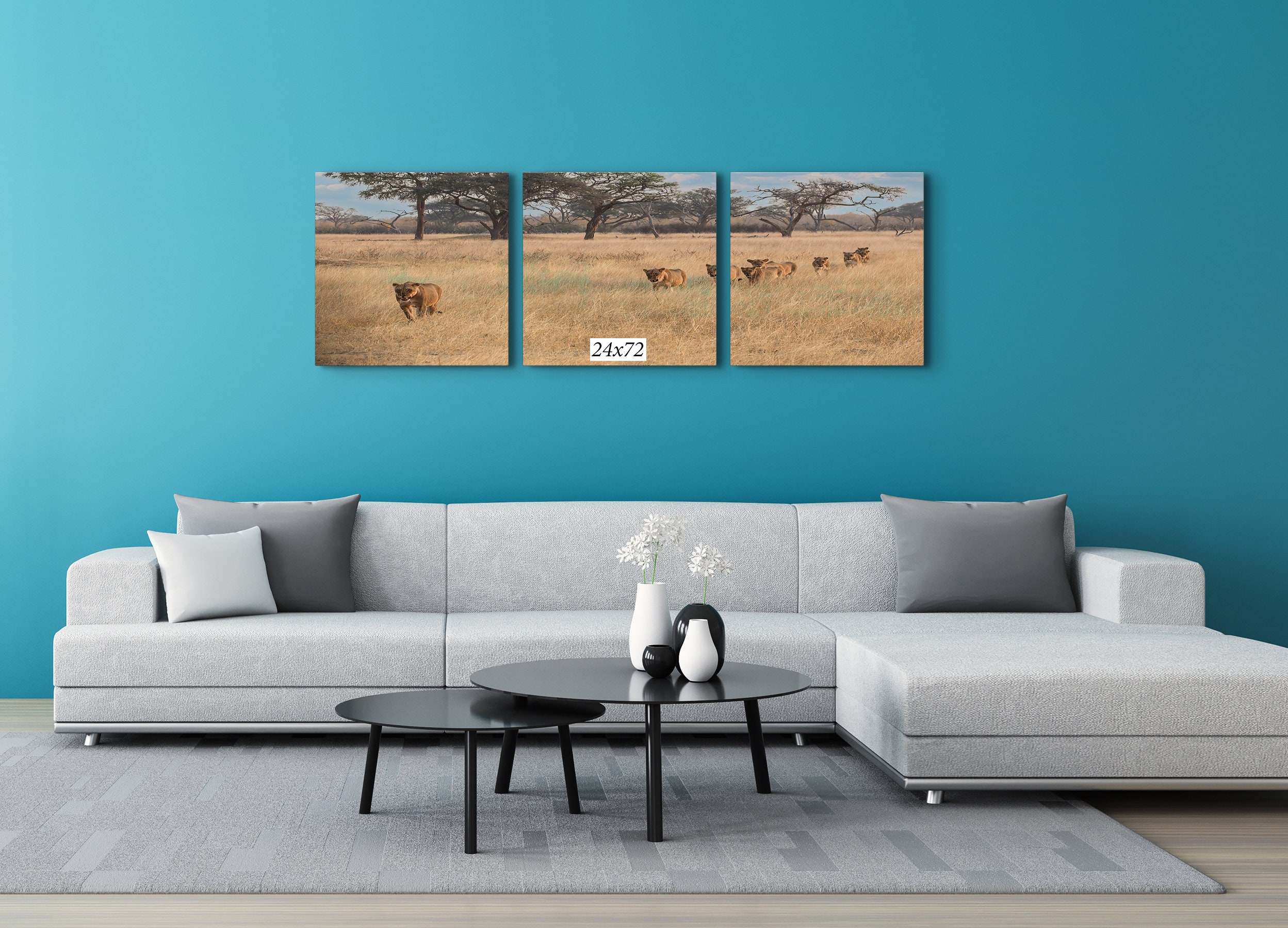 Wall Hanging Canvas Photo Print of a South Africa Lionesses on the Hunt 8X10 to