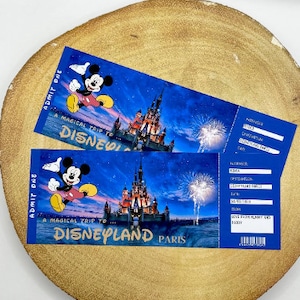 PERSONALIZED Disneyland Andenken-Überraschung Florida Paris Walt Disney World spezielle Geschenk-Weihnachtsgeschenk-Gutschein-erinnerungs-Andenken-Eintrittskarte