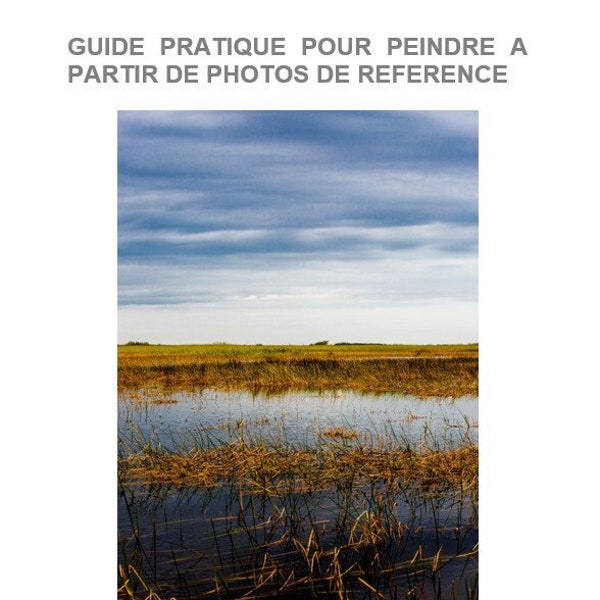 Guide pratique pour peindre à partir de photos - 10 pages - 1 Fichier PDF à télécharger