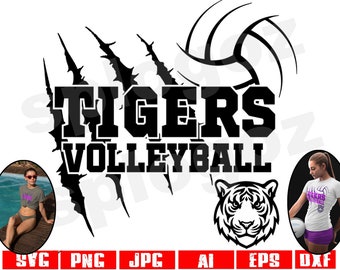 Tigres voleibol SVG Tigre voleibol SVG Tigres voleibol PNG Tigres SVG Tigres SVG Mascota de los tigres SVG Cricut SVG Diseños de Cricut Tigres PNG