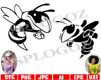 Hornets svg, Hornet svg, Hornets mascot svg, Hornets logo, SVG Cut File, SVG for Cricut or Silhouette, School Spirit,  sports Hornets png