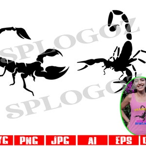 Könnte beinhalten: Zwei schwarze Silhouettenbilder von Skorpionen. Ein Skorpion ist mit hoch erhobenem Schwanz zusammengerollt, der andere Skorpion geht mit herunterhängendem Schwanz. Die Bilder sind auf weißem Hintergrund.