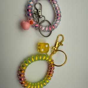 Può includere: Due portachiavi a spirale. Uno è iridescente con un ciondolo a forma di anatra rosa. L'altro è color arcobaleno con un ciondolo a forma di dado giallo. Entrambi hanno moschettoni e portachiavi in metallo.
