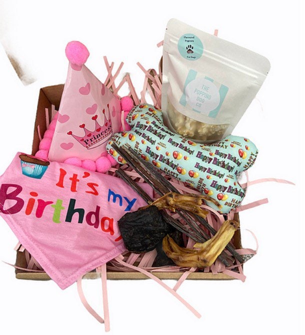 Birthday Box for Dogs Dog Treats Birthday Edition Etsy