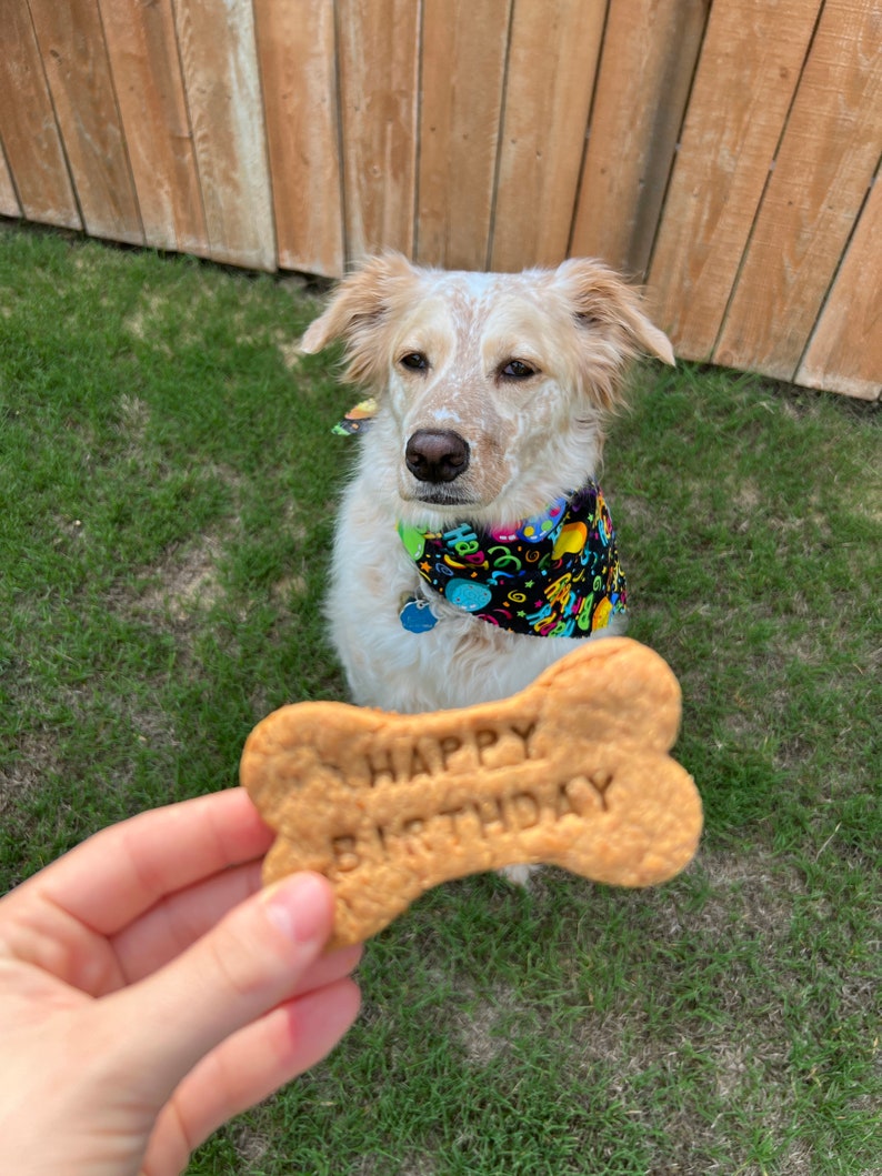 Birthday Dog Treats Homemade Peanut Butter Dog Treats Etsy