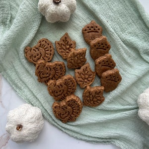 Fall Themed Peanut Butter Dog Treats: Homemade,
