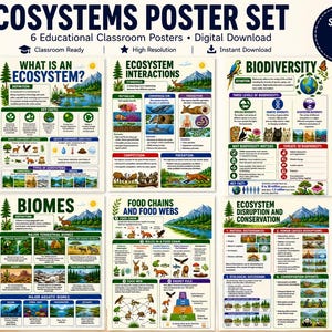 Puede incluir: Un conjunto de seis pósteres educativos titulado Ecosystems Poster Set, que presenta ilustraciones y texto sobre ecosistemas, biodiversidad, biomas, cadenas alimentarias, redes tróficas y conservación. Incluye diagramas y datos.