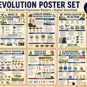 Könnte beinhalten: Ein Set aus sechs Lehrplakaten mit dem Titel Evolution Poster Set, das detaillierte Diagramme und Texte zu Charles Darwin, natürlicher Selektion, Fossilien und dem Stammbaum des Lebens enthält. Jedes Plakat zeigt Illustrationen von Tieren und Pflanzen.