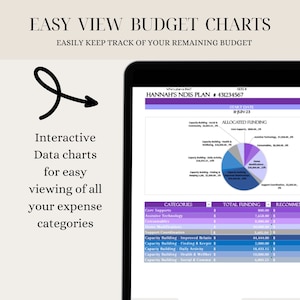 NDIS Participant Excel Tabelle Funding Planer Planer für Selbstmanagement Rechnung Tracker Prereadsheet Template Bild 2