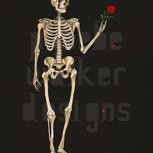 May include: A full-body illustration of a human skeleton against a black background. The skeleton holds a single red rose in its left hand, with two small red petals falling below. The text 'pebble walker designs' is visible in dark gray.