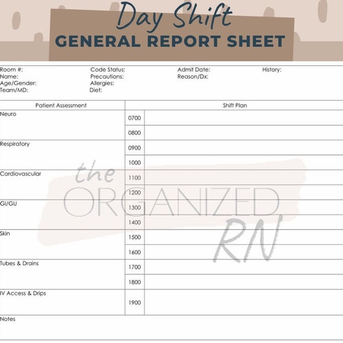 Long Term Care Nurse Report Sheet - Etsy