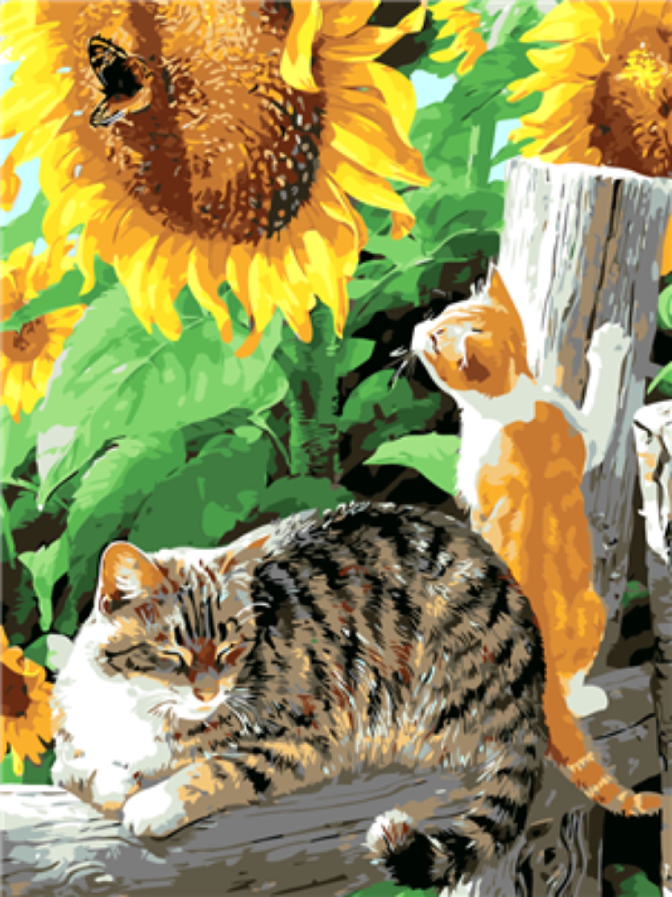 Kit Peinture Par Numéros – Nature Et Fleurs – Design Moderne Avec Cadre – DIY Art