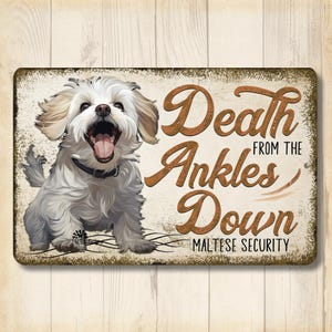 Maltese Lover Gift, death from the ankles down, funny maltese metal security sign, beware of dog tin wall art maltese mom gift, outdoor sign
