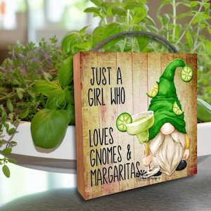 Gnome Shelf Sitter Tiered Tray sign small hanging wine bar sign, just a girl who loves gnomes and margaritas, gnome lover gift, bar decor