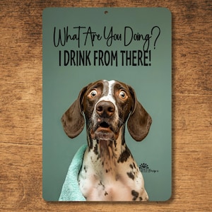 May include: Metal sign with a teal background and a brown and white dog with a surprised expression. The sign reads "What Are You Doing? I Drink From There!"