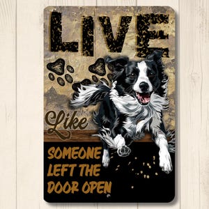 May include: A rectangular metal sign with a distressed wood-look background. The sign features a black and white Border Collie dog leaping forward, with the words "LIVE Like SOMEONE LEFT THE DOOR OPEN". Paw prints are also visible.