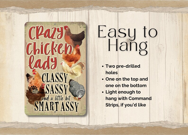 Crazy Chicken Lady Sign, chicken mom gift chicken metal sign, chicken mama gift, gift for aunt indoor outdoor metal sign, chicken lover gift image 2