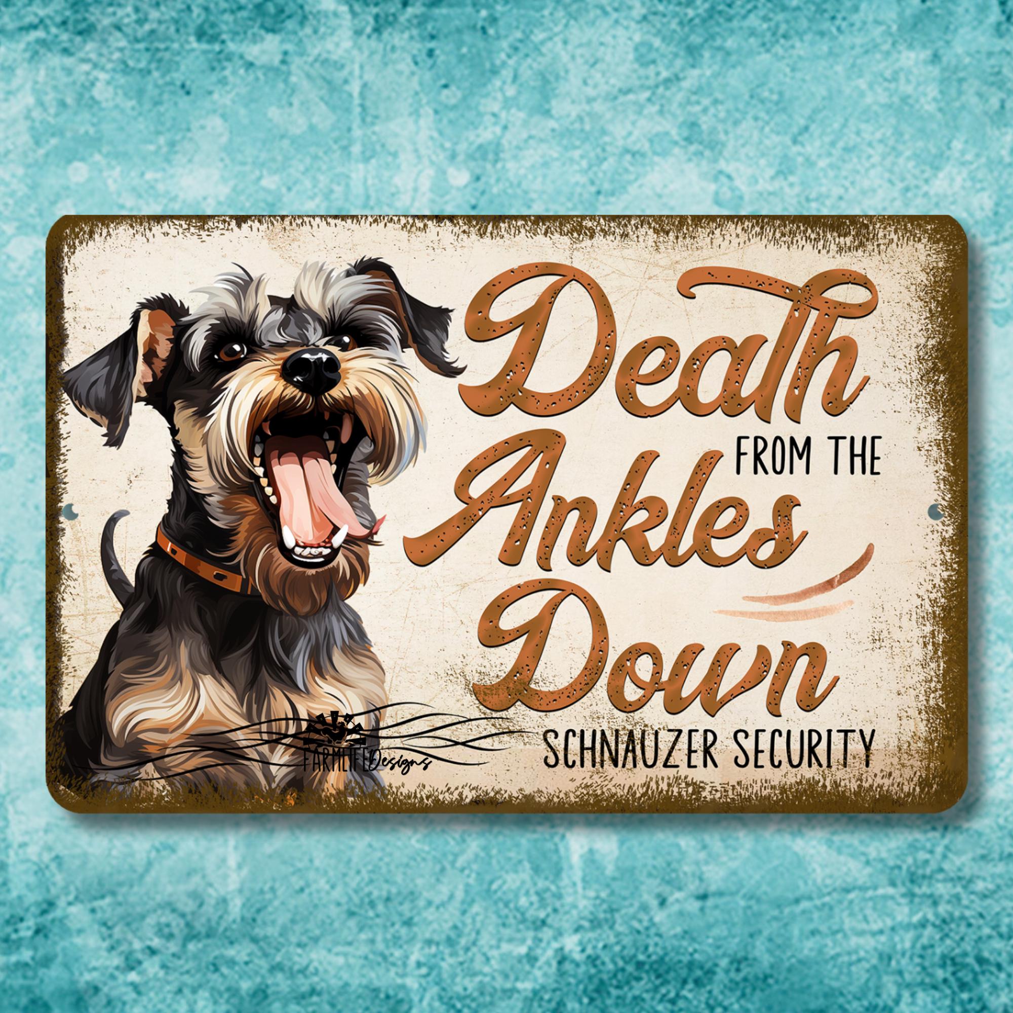 CARTELLO TARGA IN metallo detti Beware of Dog Owner piastra insegna metallica da EUR 14,99