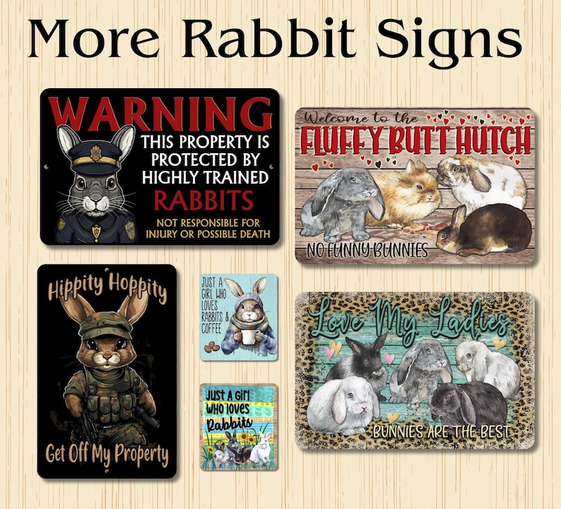 Rabbit Sign, Hippity Hoppity Get off My Property, Rabbit Lover Gift ...