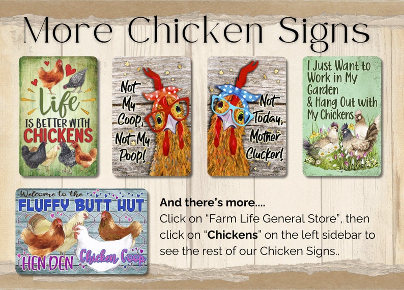 Crazy Chicken Lady Sign, chicken mom gift chicken metal sign, chicken mama gift, gift for aunt indoor outdoor metal sign, chicken lover gift image 9