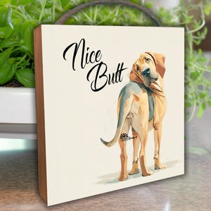 May include: A square wooden sign featuring a watercolor illustration of a Bloodhound dog looking over its shoulder. The sign has the words "Nice Butt" in black script. The dog is tan, brown, and gray.
