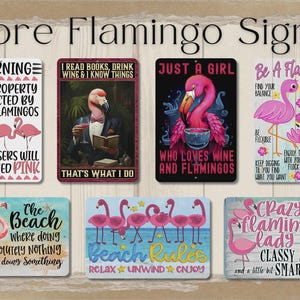 Flamingo sign, Flamingos and Beer, funny man cave sign, metal tin home bar wall art, game room decor, gift for him, flamingo lover gift image 5