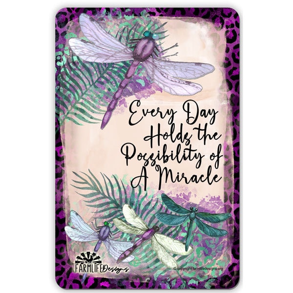 Dragonfly Sign | Every Day Holds the Possibility of a Miracle dragonflies 8"x12" dragon fly flies inspirational sign, dragonfly lover decor