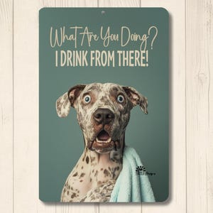May include: Metal sign with a teal background and the text "What Are You Doing? I DRINK FROM THERE!". The sign features a dog with a surprised expression, holding a blue towel.