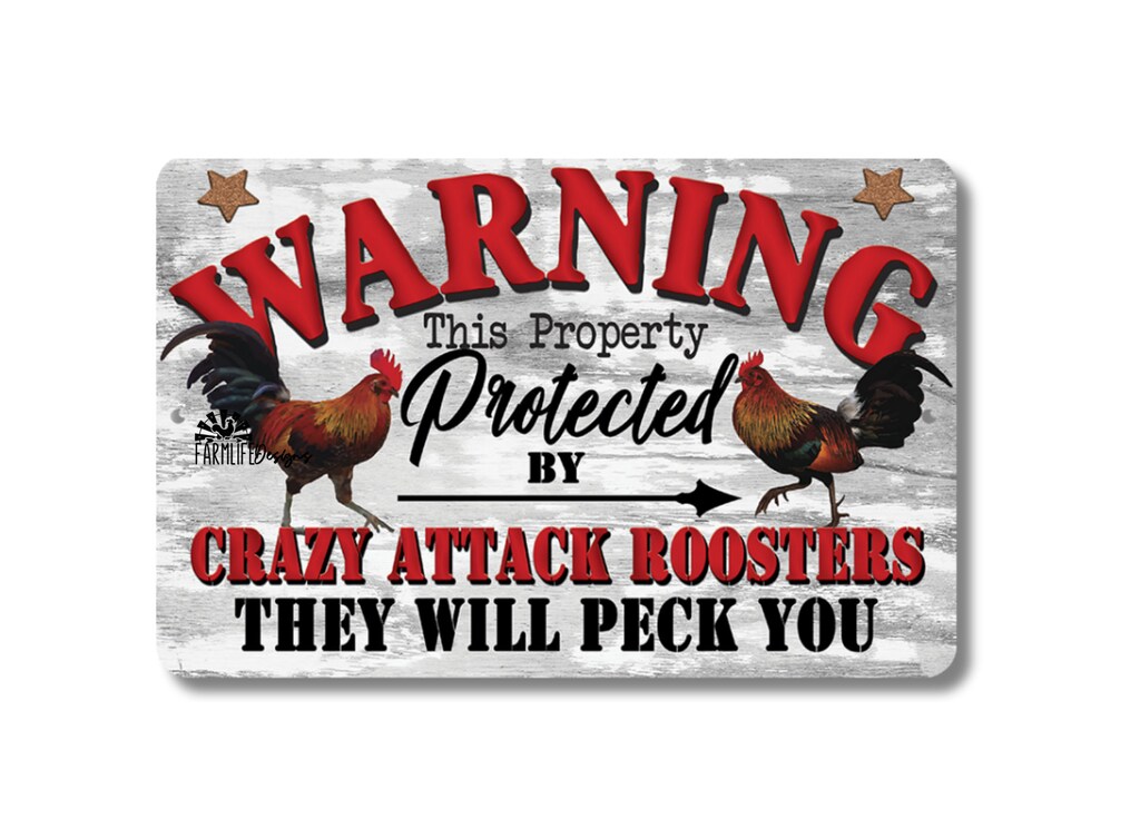 Targa Metallica Umoristica 'Warning This Property Is Protected By Highly Trained Chickens' - 20x30 Cm