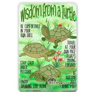Turtle Advice Sign, Wisdom from a  Turtle, green turtles, Handmade 8x12 metal sign, turtle lover gift, tortoise gift
