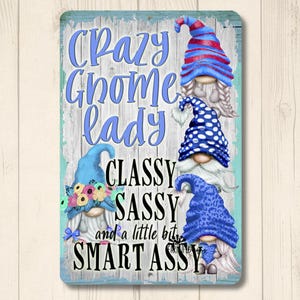 Crazy Gnome Lady Sign, farmhouse garden sign, gnome lover gift, gift for mom, kitchen decor, knome gift, metal wall art