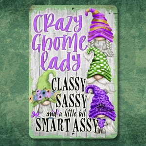 Crazy Gnome Lady Sign, Classy, Sassy, Smart Assy, handmade gnome lover gift, metal tin wall art, gnome decor, gift for her