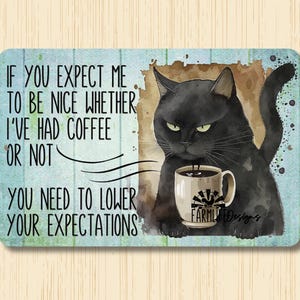 Cat Coffee Sign, expect me to be nice, morning coffee bar decor, kitchen wall art, cat lover gift, funny cat metal tin plaque