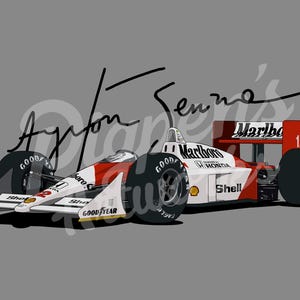 Ayrton Senna Digital File
