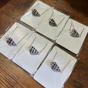 May include: A collection of seashell necklaces. Each necklace features a small, cone-shaped shell with black and white markings, suspended from a delicate gold-colored chain. The shells are displayed on white cards, packaged in clear plastic.