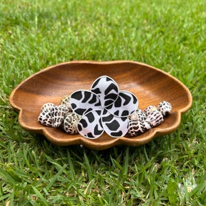 Forever Hebrew Cone Shell Print Pua Forever Flower | Hair Flower | Artificial Flower Accessories | Hebrew Cone Shell | Hawaii Flower