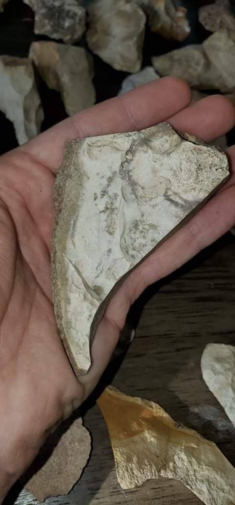 Authentic Mastodon effigy stone Authentic Mastodon effigy stone