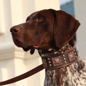 Dog collars etsy cheap