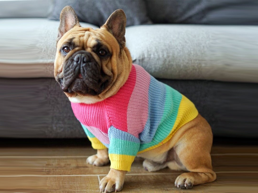 Rainbow Dog Sweater Knit Dog Sweater Dog Knitwear Dog Etsy