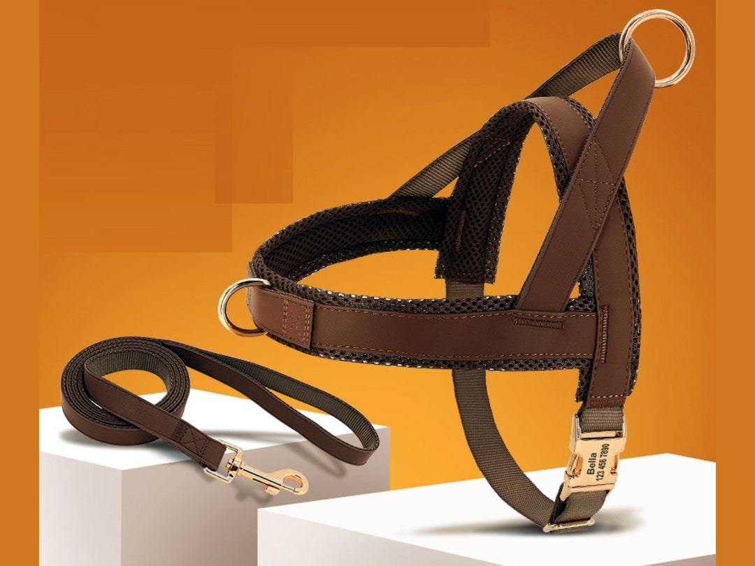 Custom Dog Harness, Leather Harness Set, Personalized Harness, Dog