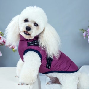 Manteau imperméable à capuche pour chien chat - Petits Compagnons