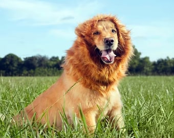 Lion Dog Costume - Etsy