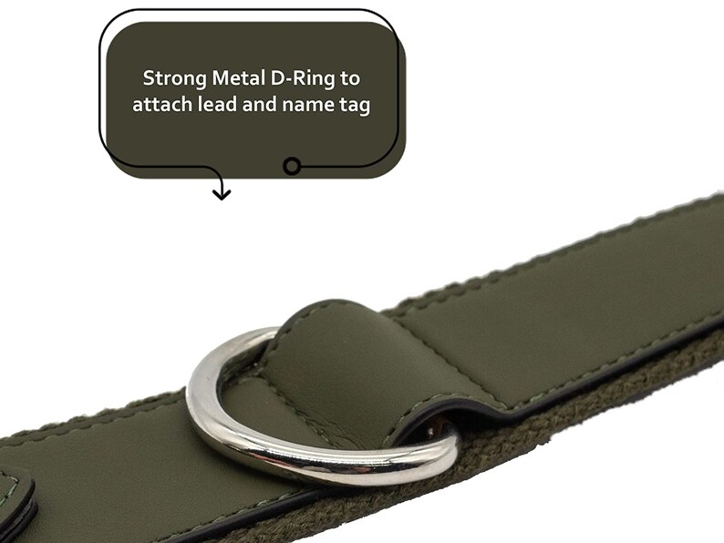 Airtag Dog Collar Airtag Holder Leather Airtag Dog Collar Etsy UK