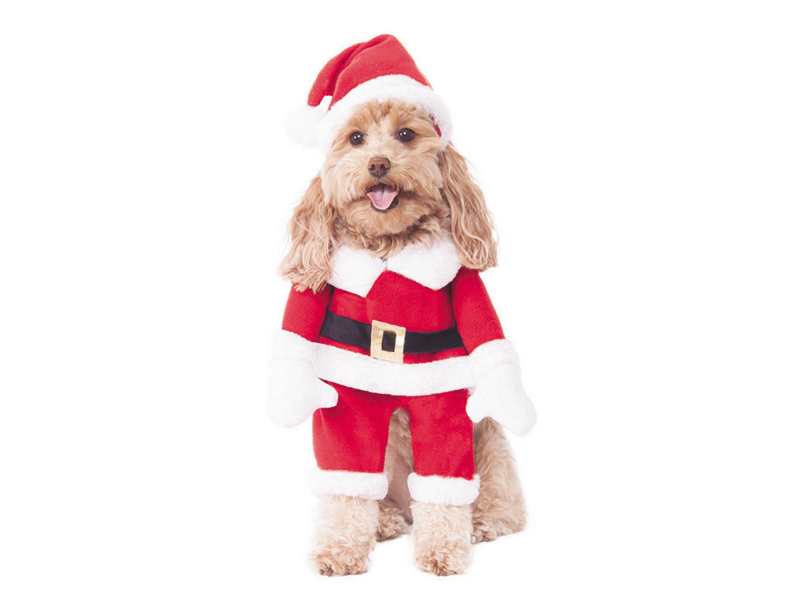 large santa dog costume
